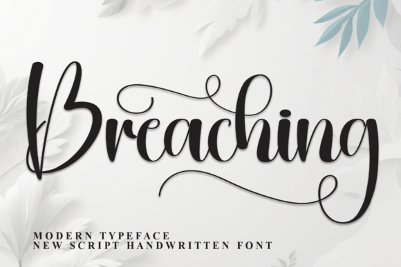 Breaching: A Designer’s Take on Its Personality and Practical Use