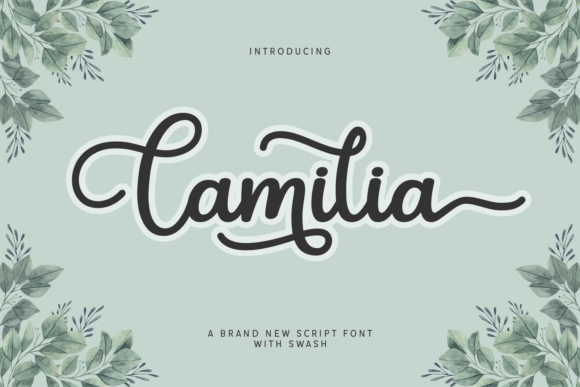 Camilia: A Script Font That Elevates Editorial Design