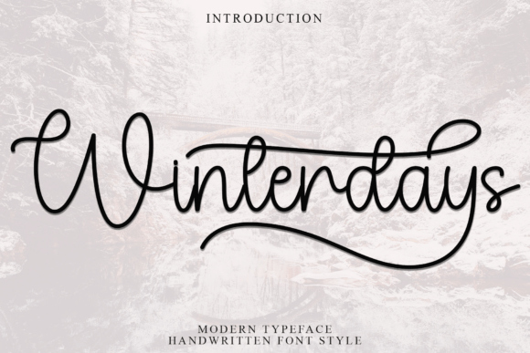 How Choosing the Winterdays Font Transformed My Small Business Branding